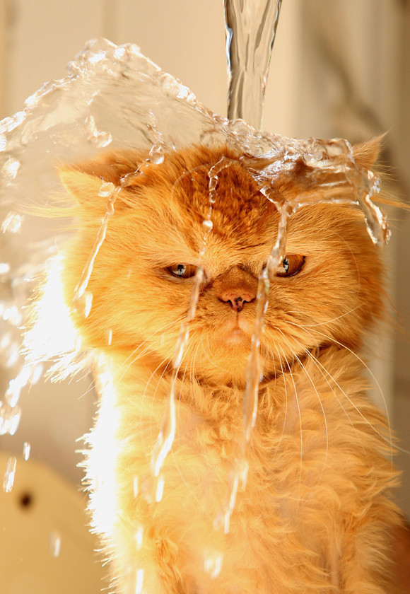 Sıcaklar ile birlikte gelen kavgalara ve karamsarlığa dikkat