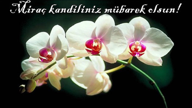 Miraç kandilinde yapılacaklar (En güzel Miraç kandili mesajları)