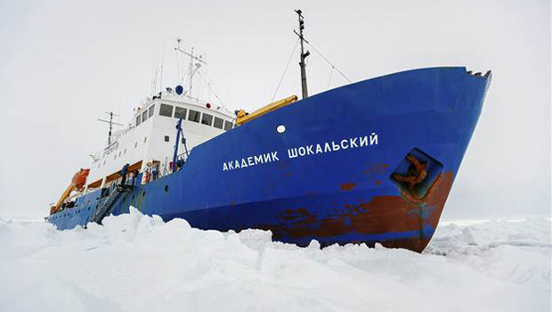 Güney Kutbundan iyi haber geldi
