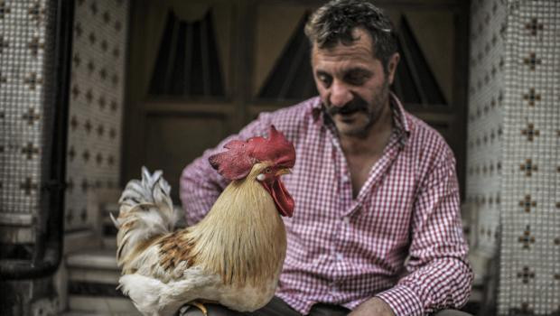 Bu Behlül başka Behlül