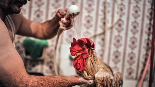 Bu Behlül başka Behlül