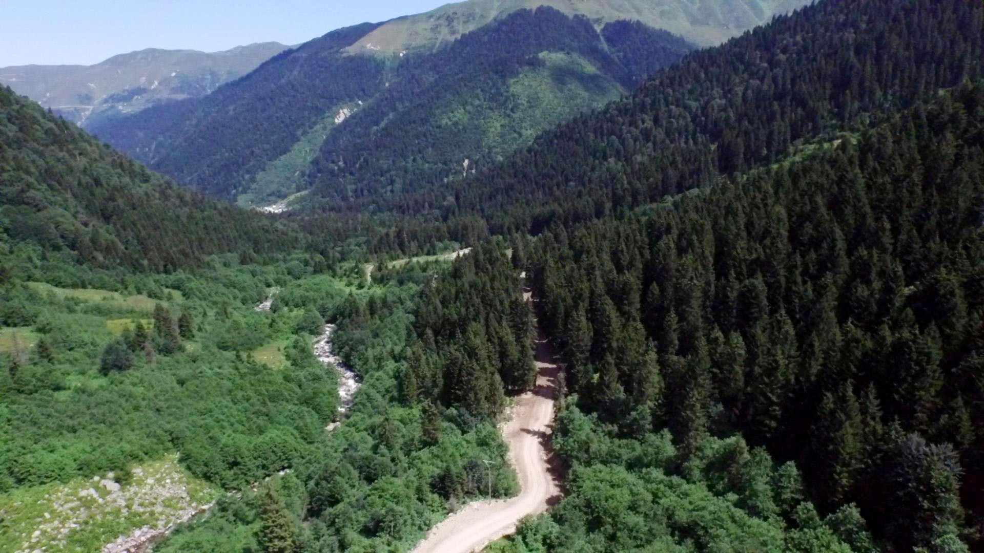 Yeşil Yol güzergahında ağaçlar kesildi