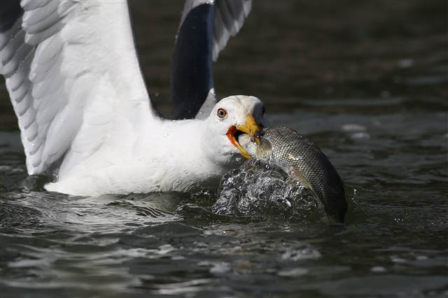 Zorlu yolculuk onlara yaradı
