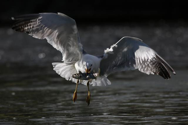 Zorlu yolculuk onlara yaradı