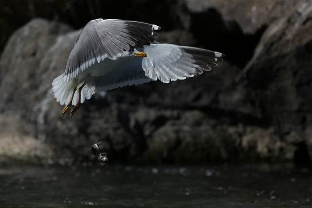 Zorlu yolculuk onlara yaradı