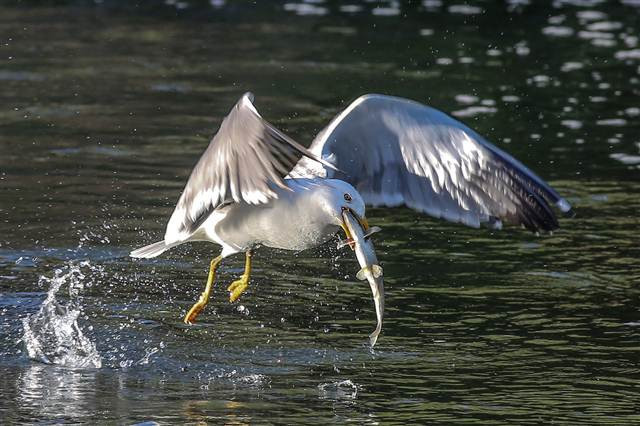 Zorlu yolculuk onlara yaradı