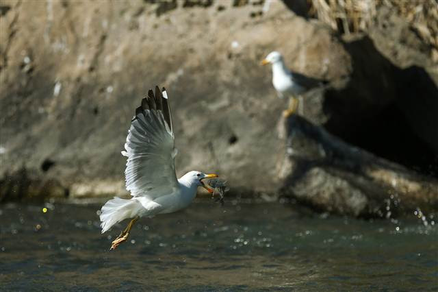 Zorlu yolculuk onlara yaradı