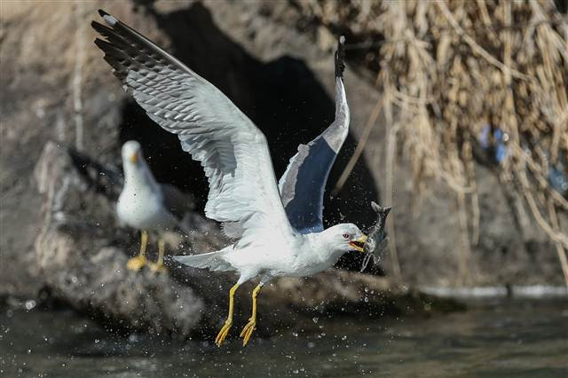 Zorlu yolculuk onlara yaradı