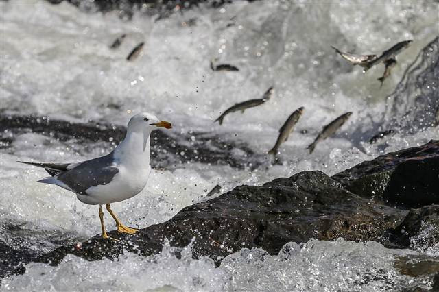 Zorlu yolculuk onlara yaradı