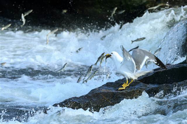 Zorlu yolculuk onlara yaradı
