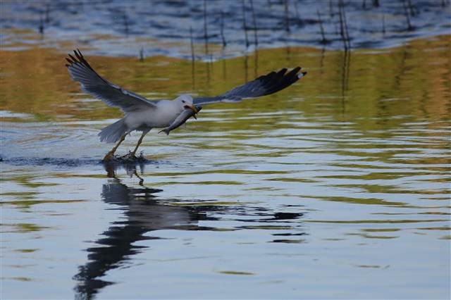 Zorlu yolculuk onlara yaradı