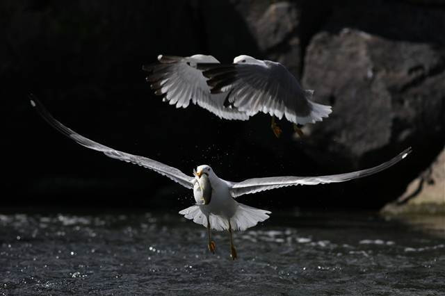 Zorlu yolculuk onlara yaradı