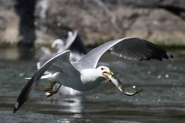 Zorlu yolculuk onlara yaradı