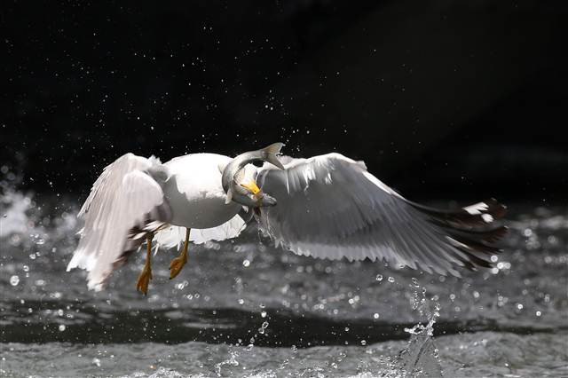 Zorlu yolculuk onlara yaradı