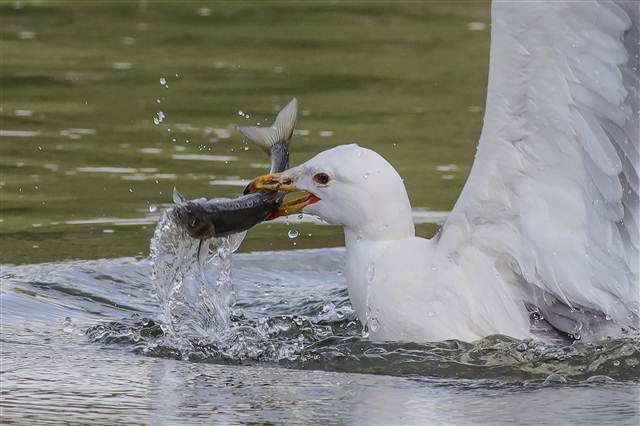 Zorlu yolculuk onlara yaradı