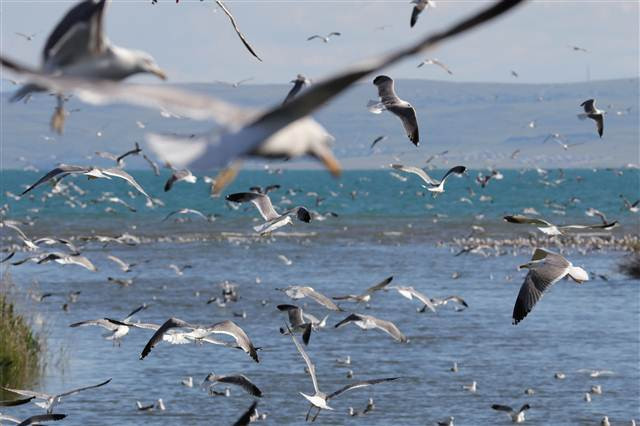 Zorlu yolculuk onlara yaradı