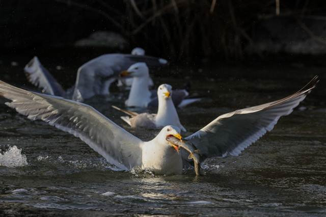 Zorlu yolculuk onlara yaradı