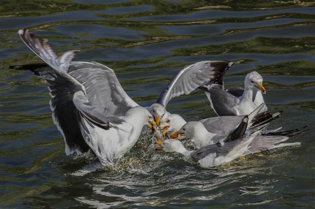 Zorlu yolculuk onlara yaradı