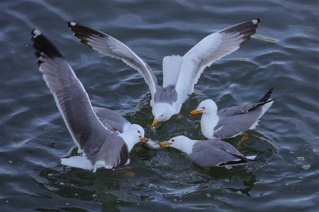 Zorlu yolculuk onlara yaradı