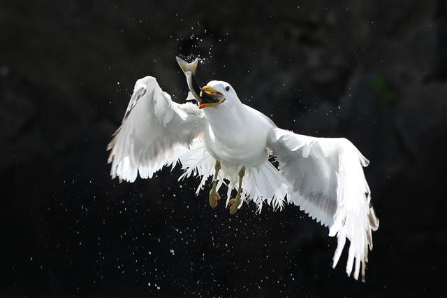 Zorlu yolculuk onlara yaradı