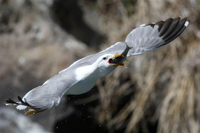 Zorlu yolculuk onlara yaradı