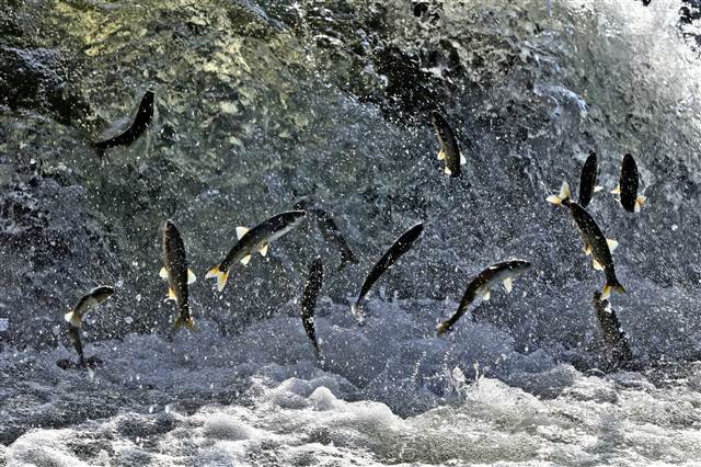 Zorlu yolculuk onlara yaradı