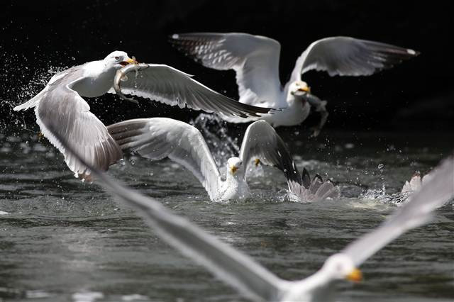 Zorlu yolculuk onlara yaradı