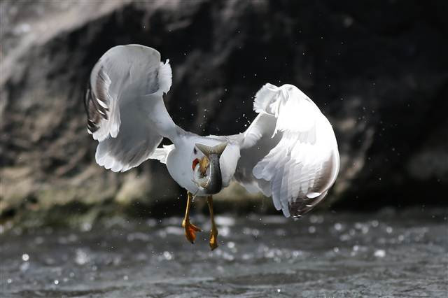 Zorlu yolculuk onlara yaradı