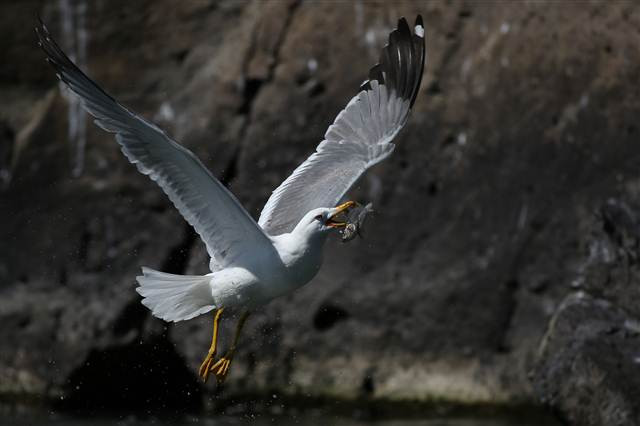 Zorlu yolculuk onlara yaradı