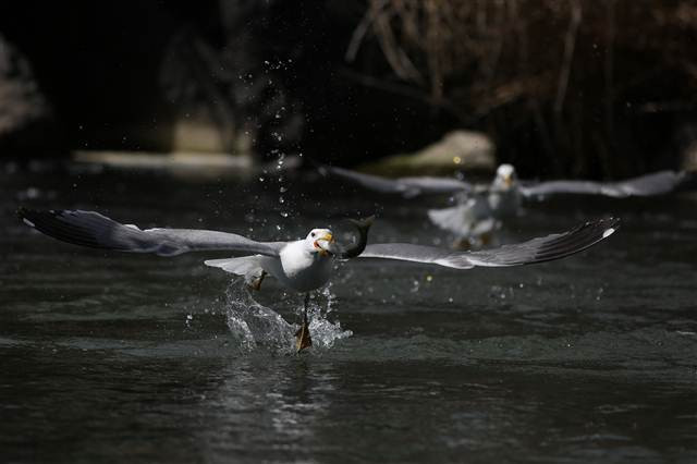 Zorlu yolculuk onlara yaradı