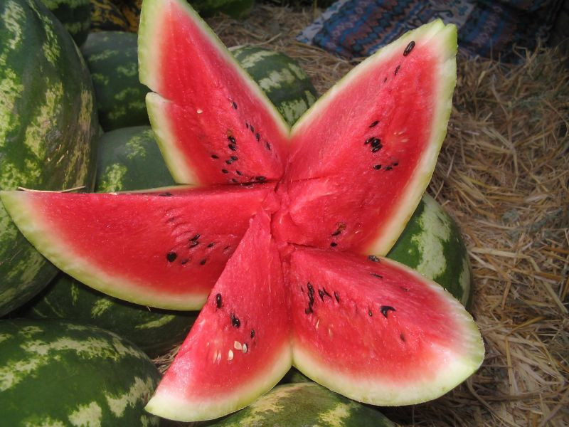 Çöp deyip attıklarınız bakın ne işe yarıyor Çöp deyip attıklarınız bakın ne işe yarıyor