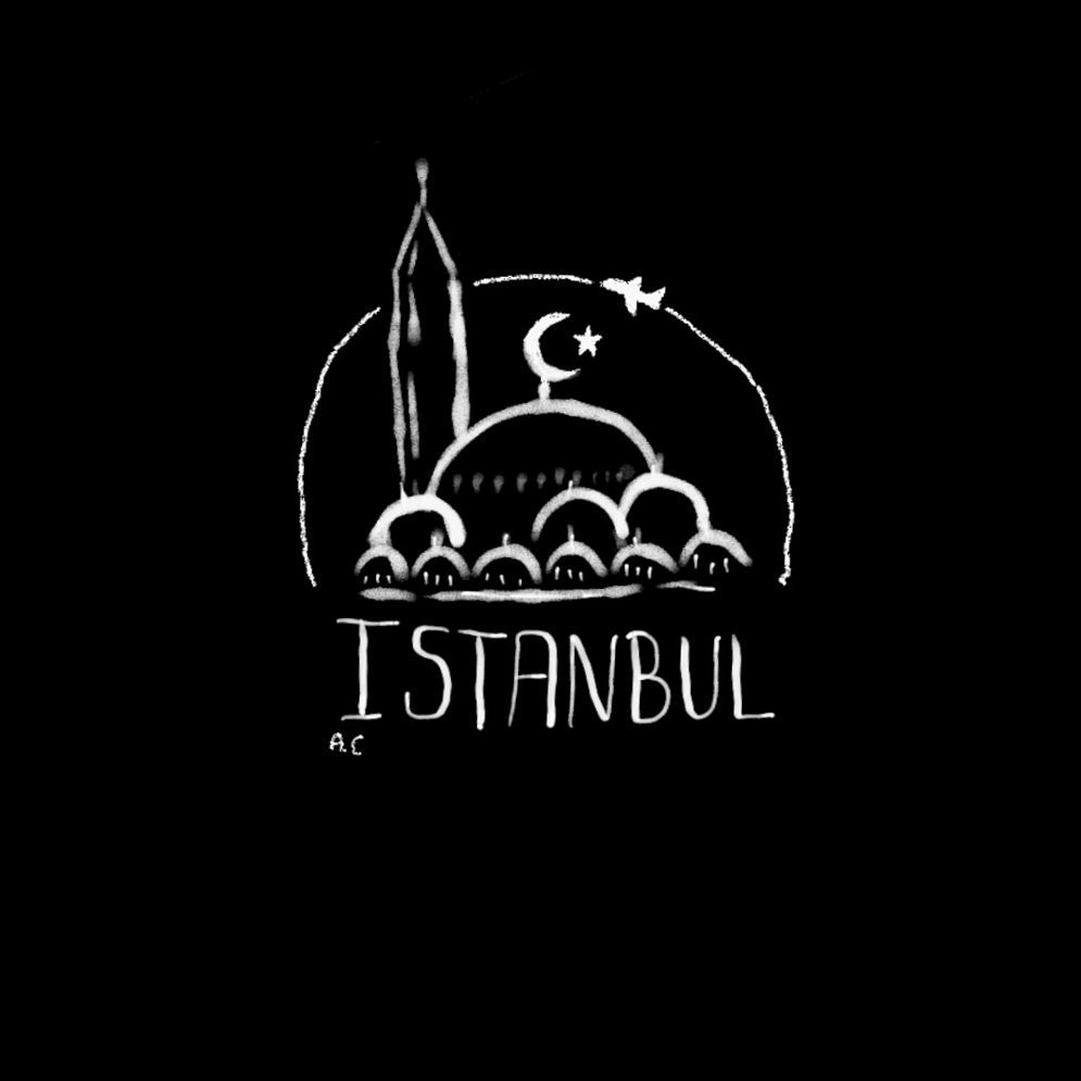 Atatürk Havalimanı saldırısı sonrası Türkiyeye destek