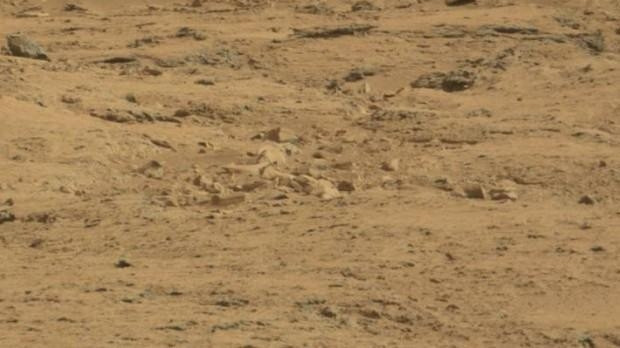 Toplu taşımada yeni dönem: Binerken aman dikkat Toplu taşımada yeni dönem: Binerken aman dikkat