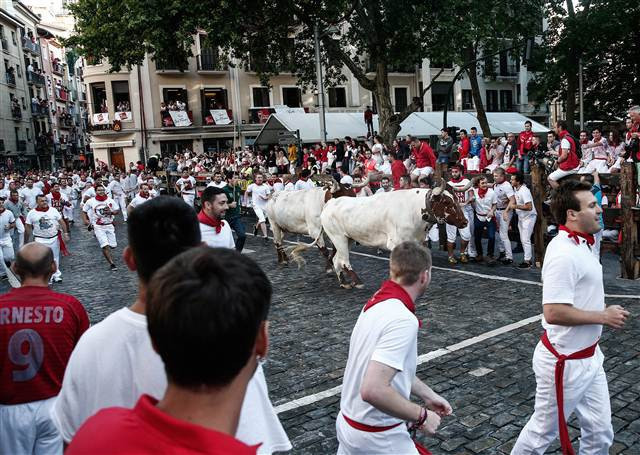 San Fermin Festivalinden ilginç kareler