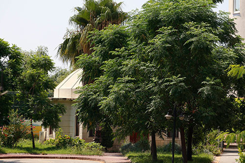 İşte FETÖnün Antalya imamının jakuzili lüks hayatı