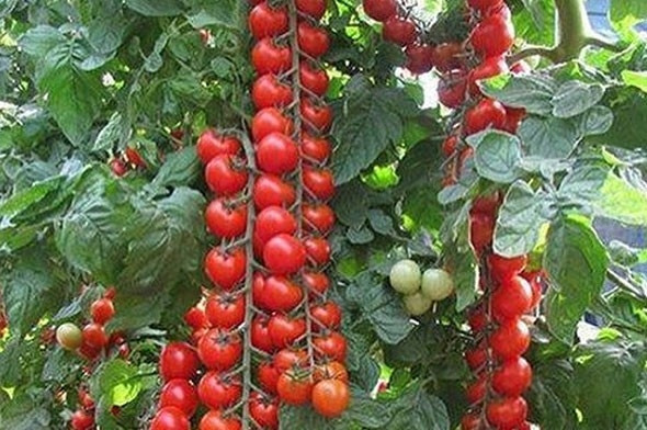 Ünlü oyuncu iki çocuğunu da alıp İstanbulu terk etti... Endonezyada yeni hayat