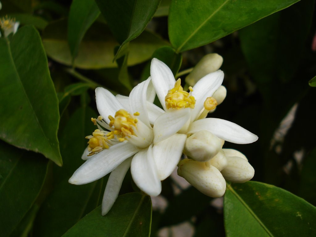 Sonbaharda fotoğraf çekilecek en güzel 10 yer Sonbaharda fotoğraf çekilecek en güzel 10 yer