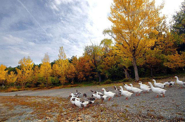 Sonbaharda fotoğraf çekilecek en güzel 10 yer Sonbaharda fotoğraf çekilecek en güzel 10 yer