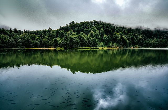 Sonbaharda fotoğraf çekilecek en güzel 10 yer Sonbaharda fotoğraf çekilecek en güzel 10 yer