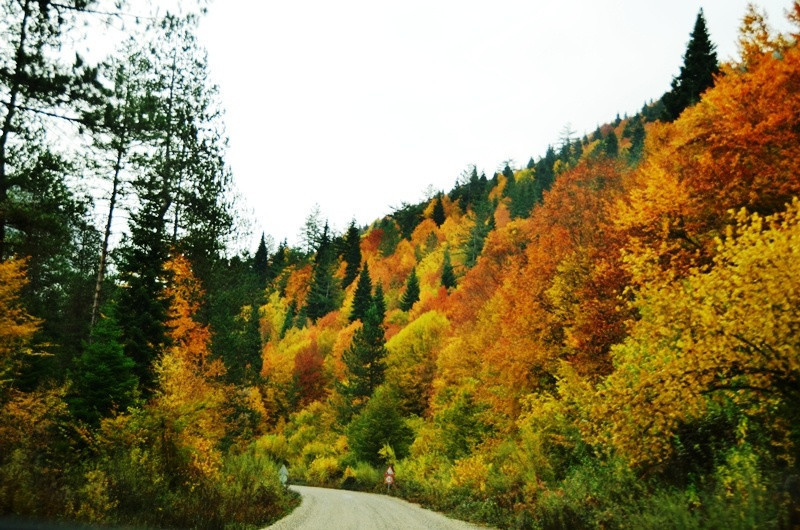 Sonbaharda fotoğraf çekilecek en güzel 10 yer Sonbaharda fotoğraf çekilecek en güzel 10 yer