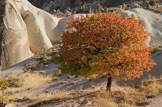 Sonbaharda fotoğraf çekilecek en güzel 10 yer Sonbaharda fotoğraf çekilecek en güzel 10 yer