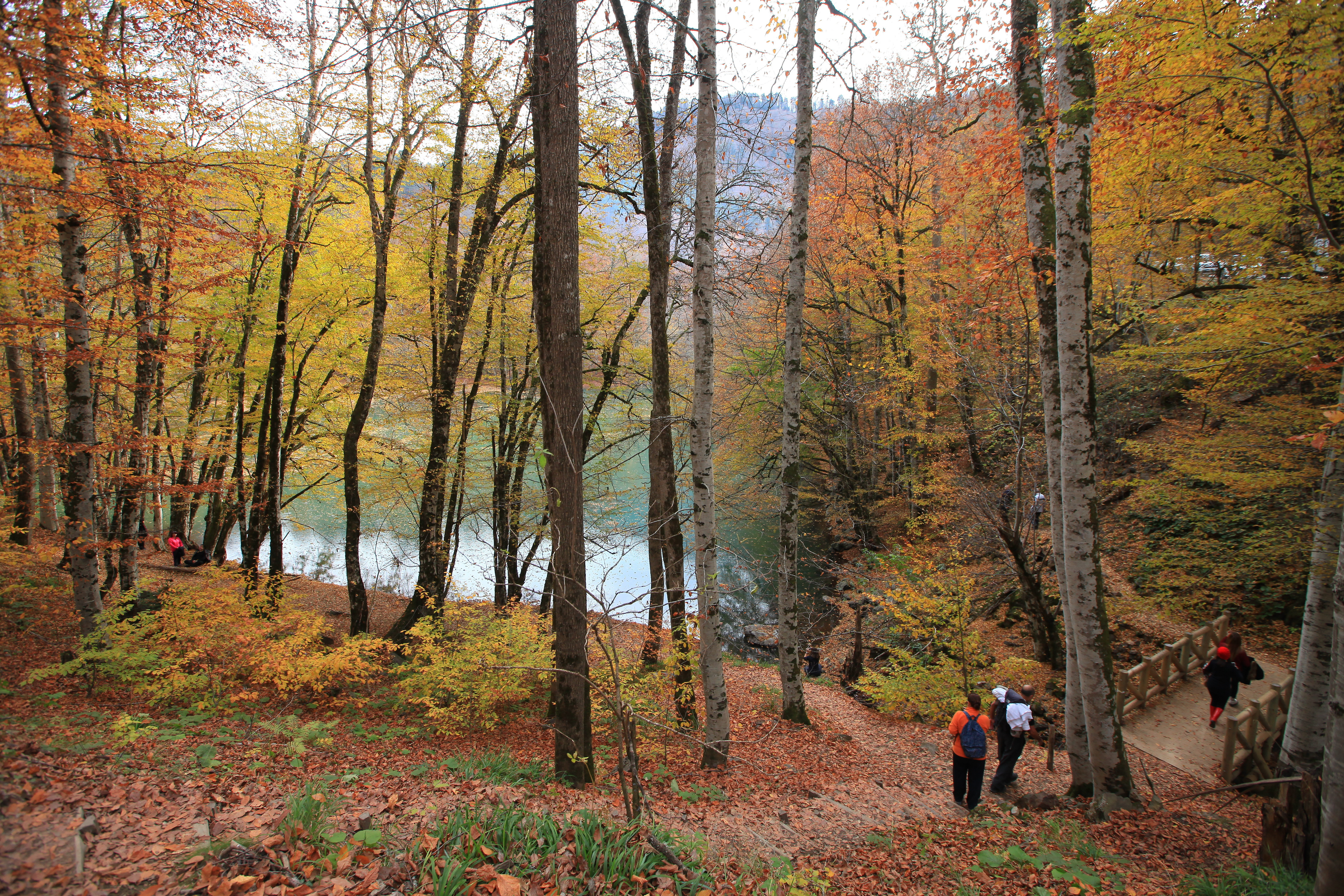 Sonbaharda fotoğraf çekilecek en güzel 10 yer Sonbaharda fotoğraf çekilecek en güzel 10 yer