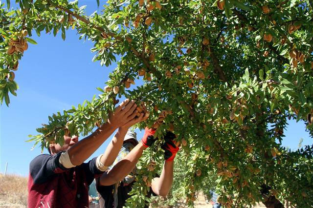 Kimse bunu beklemiyordu