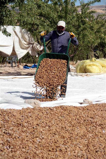 Kimse bunu beklemiyordu