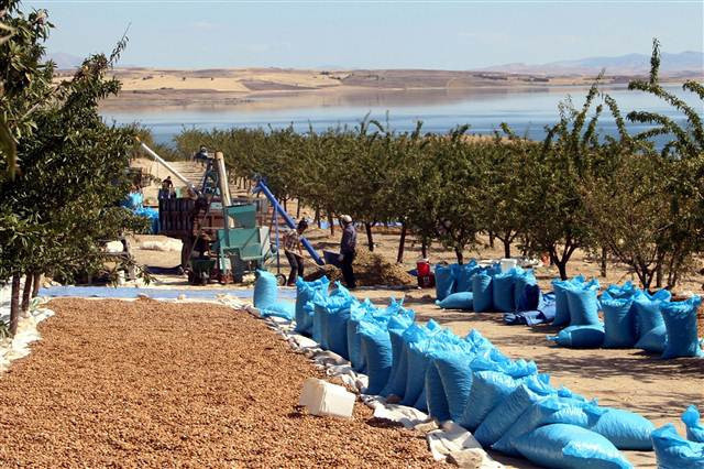 Kimse bunu beklemiyordu