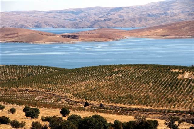 Kimse bunu beklemiyordu