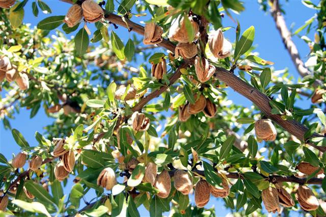 Kimse bunu beklemiyordu