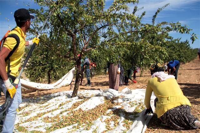 Kimse bunu beklemiyordu