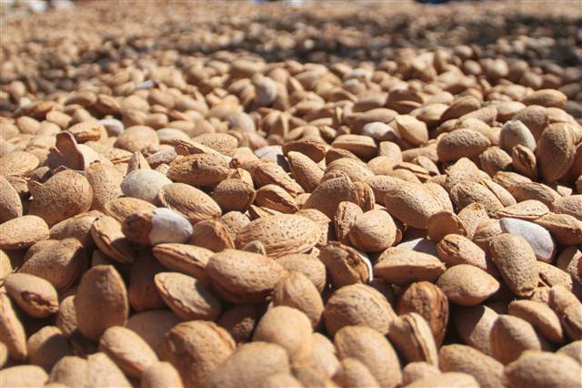 Kimse bunu beklemiyordu