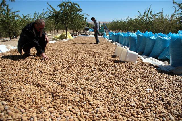 Kimse bunu beklemiyordu